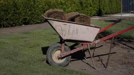 wheelbarrow with lawn rolls. landscaping works on the territory of the house