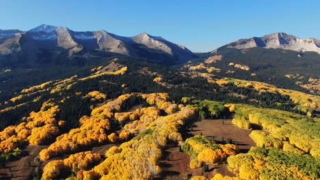 stunning bright bluebird sunny sunrise morning autumn aspen tree forest fall golden yellow colors kebler pass aerial cinematic drone crested butte gunnison colorado rocky mountains right motion