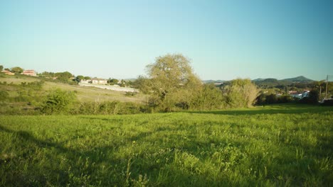 campo verde al atardecer con árboles, colinas, casa rural, cielo azul