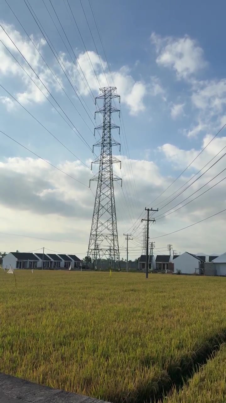 High Voltage Power Transmission Tower in Rural Rice Field