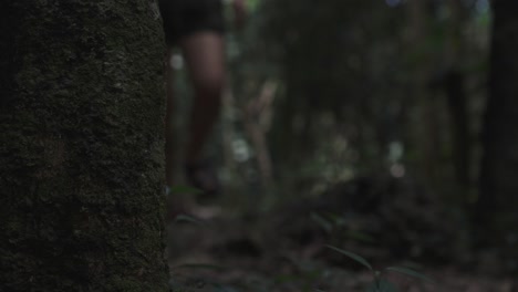 girl walking in the forest, slow motion