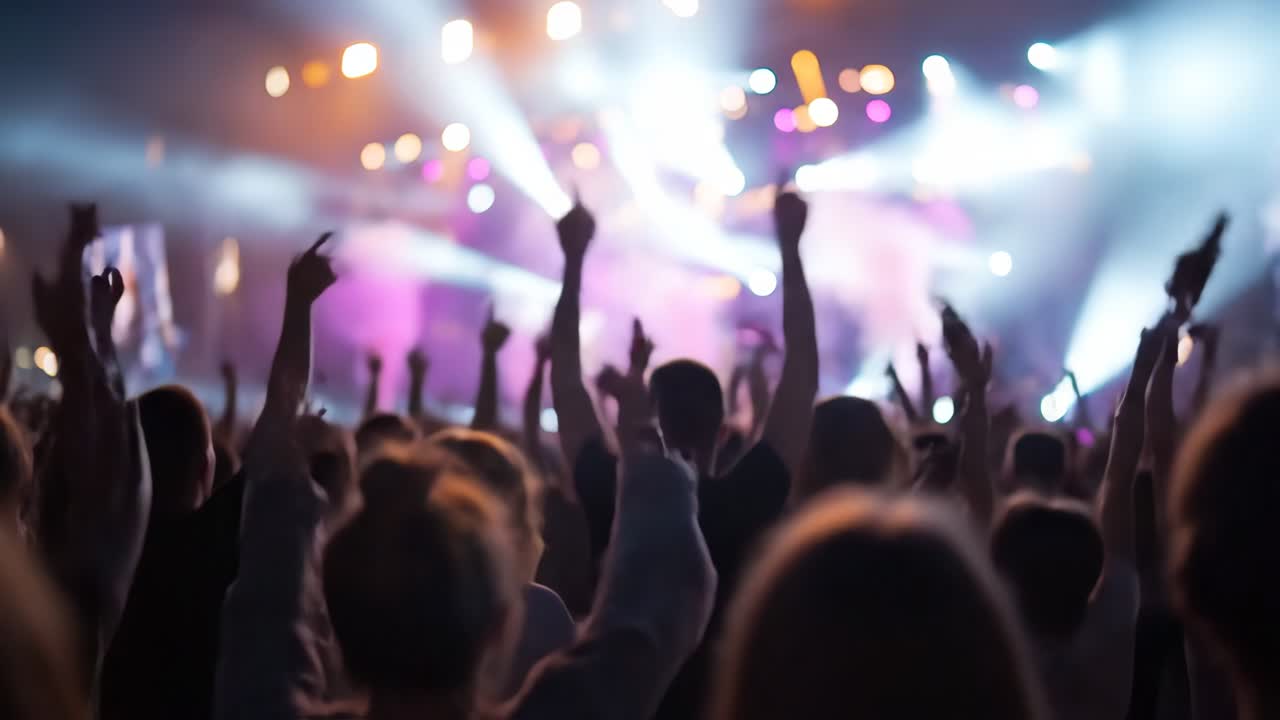 Público animado em um show de música