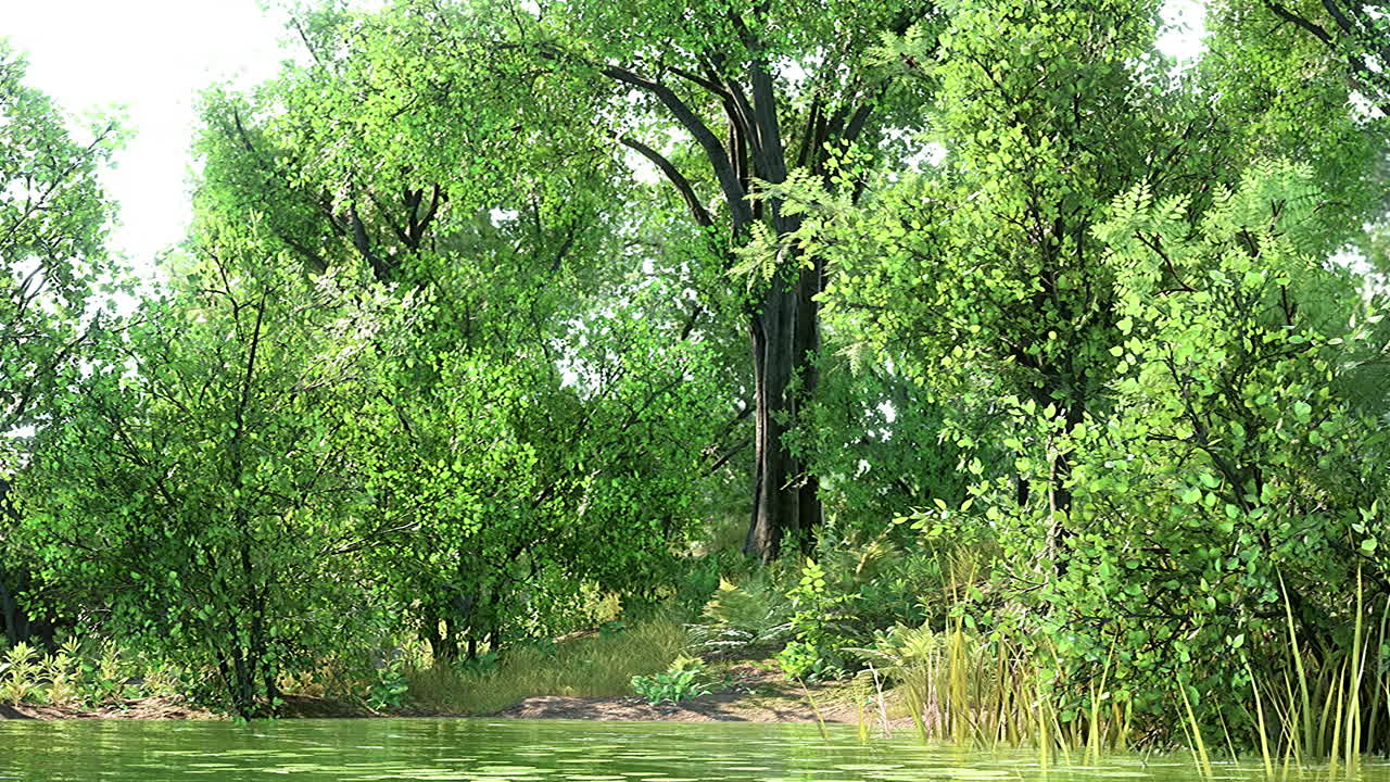 여름 녹색 숲 연못 풍경