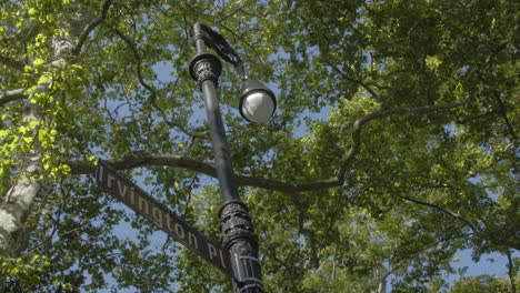 low angle of lamppost surrounded by green leafy trees during the daytime in brooklyn, new york