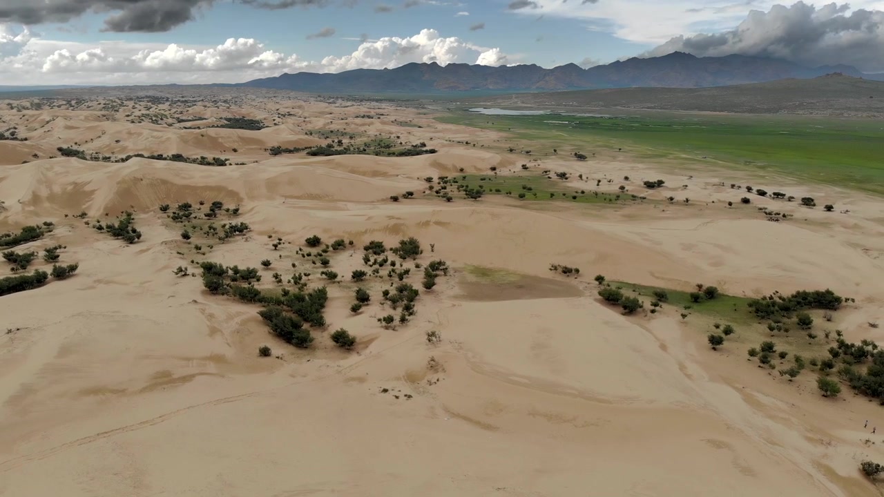 Veduta aerea di un vasto paesaggio desertico con oasi verde e montagne.