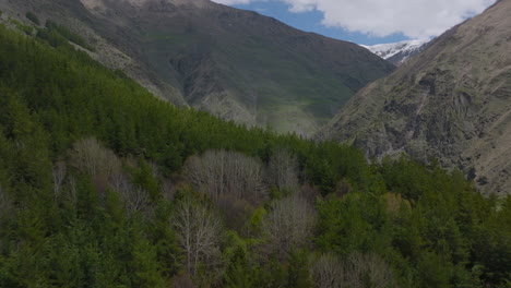 Drone-flight-over-alpine-forest-and-mountain-range-in-Macedonia