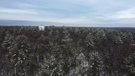imágenes aéreas sobre árboles en un corredor de línea de energía eléctrica en el este de massachusetts