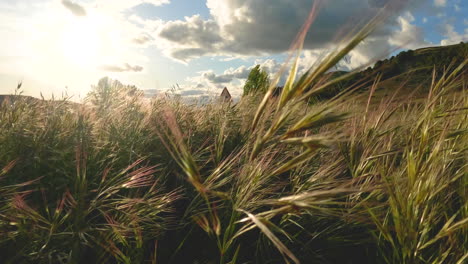 Beautiful-Countryside-Nature-Outside-of-Penafiel,-Spain