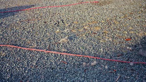 clumps of dog fur are scattered across the gravel, marking the spot of a recent grooming session - handheld shot