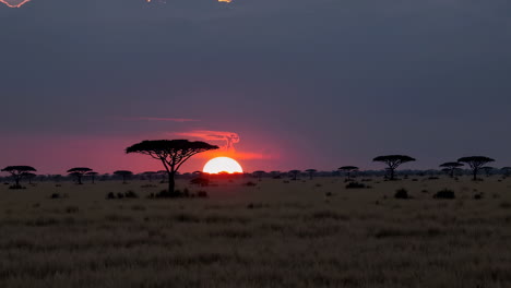 african savanna sunset