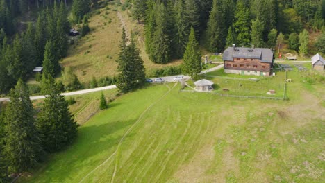scenic aerial view of mountain hut on green hill surrounded with spruce tree