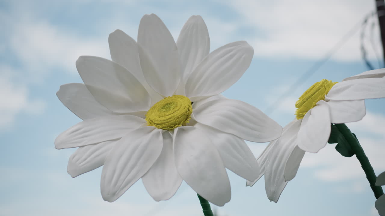 Flores brillantes danzan en el aire. Alegres arreglos florales se mueven suavemente contra un fondo de cielo luminoso. Delicadas flores se mecen pacíficamente bajo un cielo soleado con elementos brillantes y un resplandor suave.