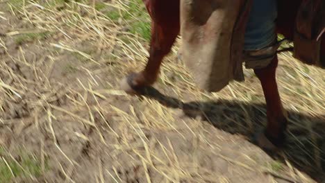 the camera tilts revealing the cowboy from the head down to his boots as he rides his horse