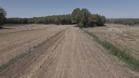 Volando-Sobre-Cosechar-Campos-De-Avena