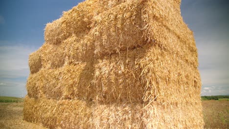 close up of square hay bales used for cattle feed in the farmland