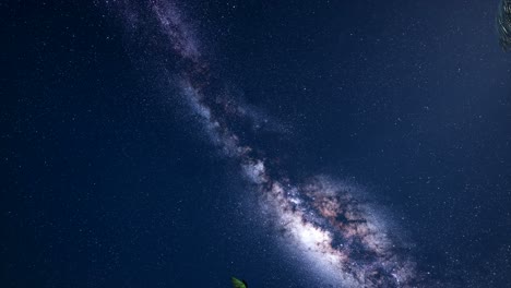4k astro of milky way galaxy over tropical rainforest.
