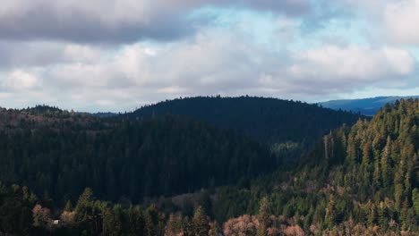 Drone-aerial-view-of-the-Redwood-National-Park-forest-with-blue-sky-and-clouds