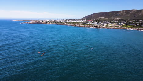 Ecoturismo-En-Hermanus---Kayakistas-Reman-Cerca-De-Ballenas