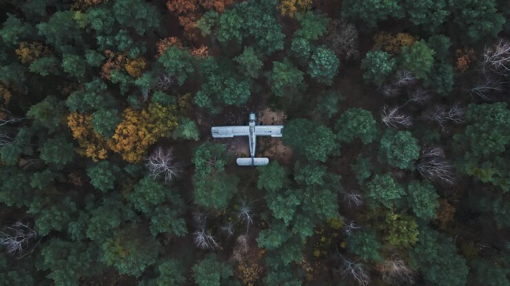 Abandoned Aircraft Surrounded by Trees in Woodland Forest, Drone Descending Shot