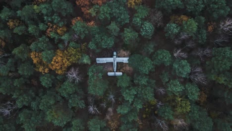 abandoned aircraft surrounded by trees in woodland forest, drone descending shot