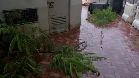 damaged tree branches are seen on the ground under heavy rain during a severe tropical typhoon storm signal t8, which sustained winds of 63 miles and damaged the city of hong kong