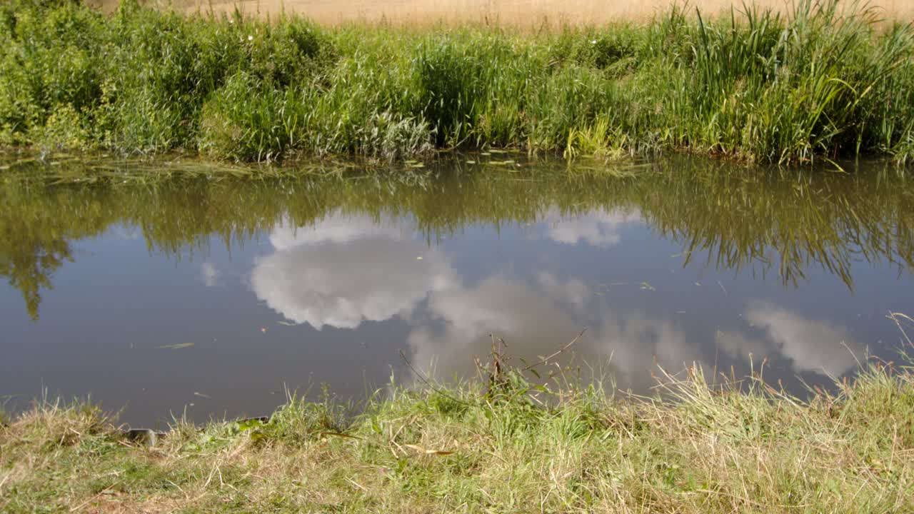 Low down wide shot of British countryside with Trent and Mersey Canal on a sunny day