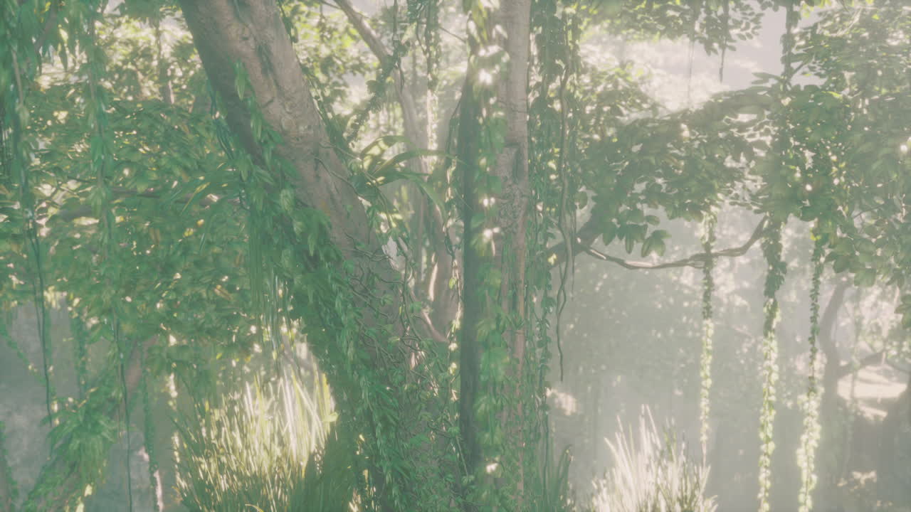 깊은 안개 속의 정글 숲의 나무들