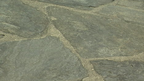 close-up of a flagstone path