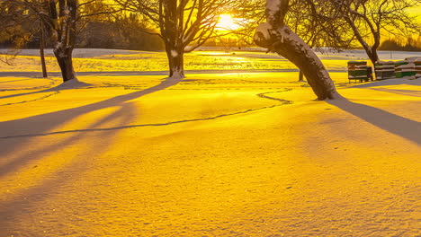 a long view of the bee box frozen in the snow and fog with the trees in a natural background with a bright sunlight reflection of time lapse