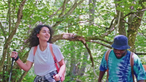 excursionistas en un bosque