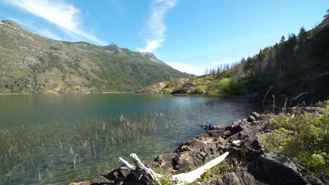 timelapse of puelo lake rocky coastline wth mountains and pine forest in background, patagonia argentina