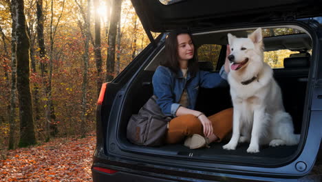woman and her white dog relaxing in a car trunk during an autumn forest outing