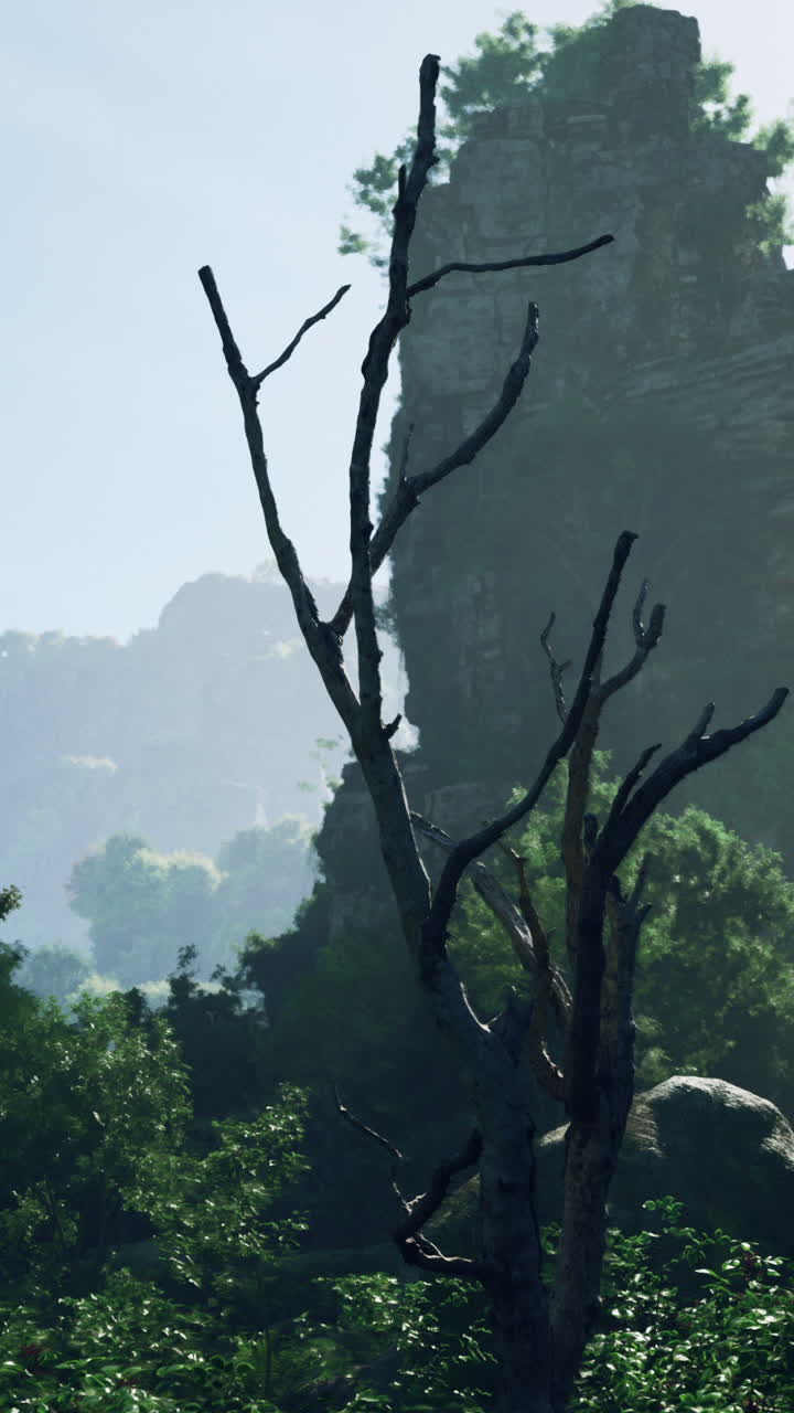 정글의 고대 유적