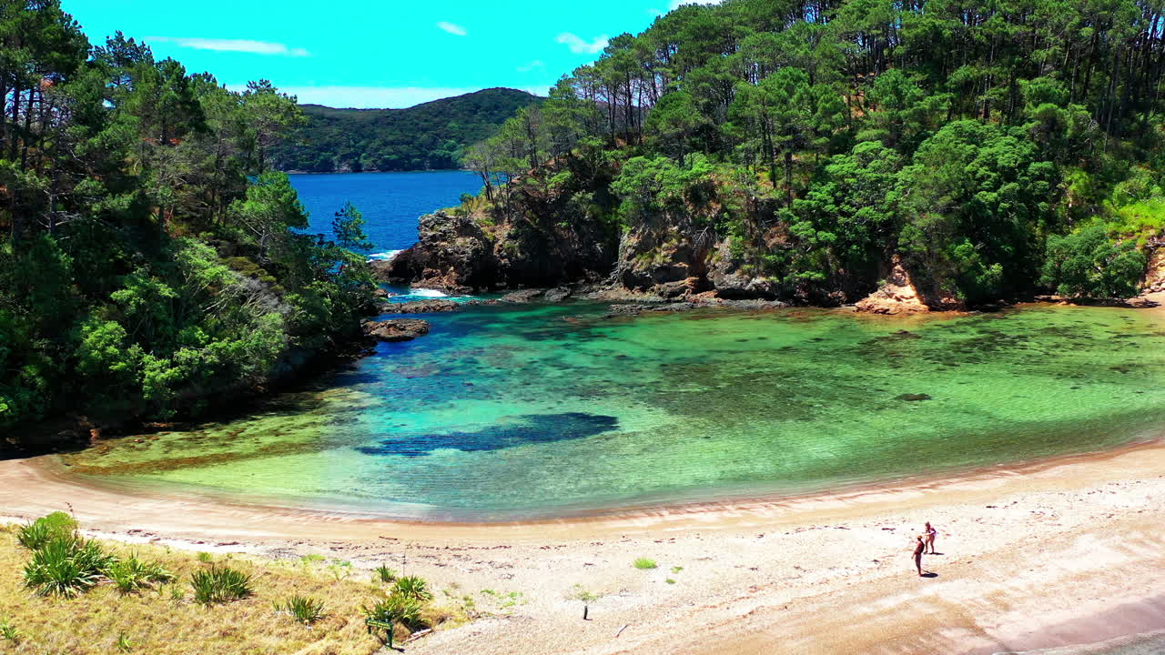 베이오브아일랜즈의 로버튼 섬 - 뉴질랜드의 울창한 나무가 있는 모투아로히아 섬의 호수와 바다의 모래사장을 걷는 관광객