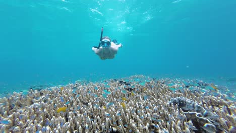 Girl-scuba-diving-into-a-coral-reef