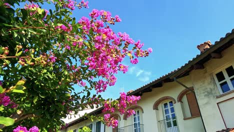 vibrant flowers against historic building and blue sky