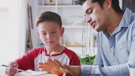 pre-teen hispanic boy sitting at the dining table working with his home tutor, close up