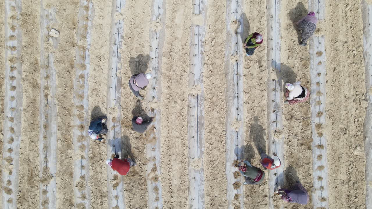 작물을 심는 농업 노동자