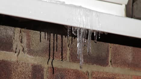 Icicles-hanging-from-a-window-ledge-thawing-and-dripping-water