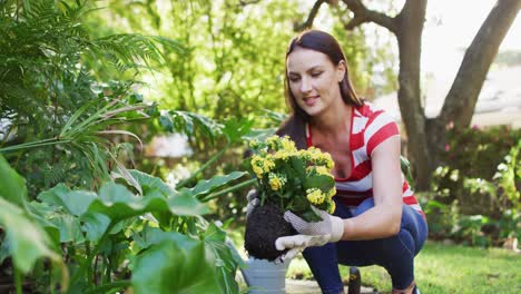 mujer caucásica sonriente haciendo jardinería, en el jardín plantando flores amarillas