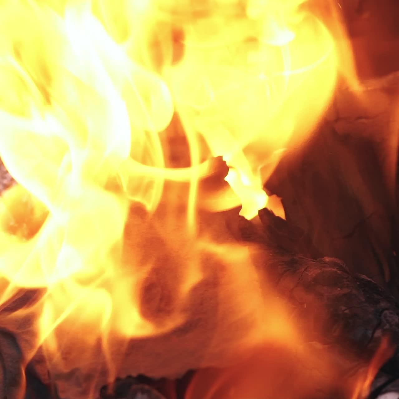 Campfire of the Branches Burn at Night in the Forest. Burning paper in an orange flame closeup. Background of the fire.
