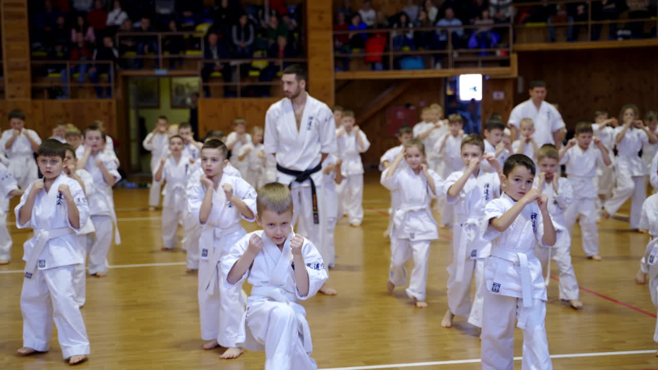 Karate training for young kids in the spacious gym. Boys and girls practice kicks under trainers' supervision. Audience at backdrop in blur.