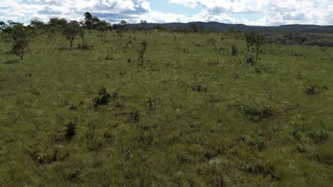 aerial view of fields cerrado and hills in chapada dos veadeiros national park, goiás, brazil