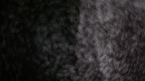 powder isolated on black background