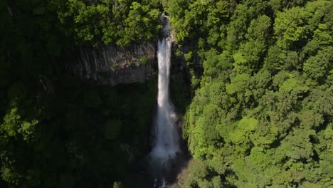 Tilt-reveal-shot-of-Nachi-waterfall,-the-biggest-in-Japan