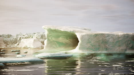 icebergs in the arctic/antarctic