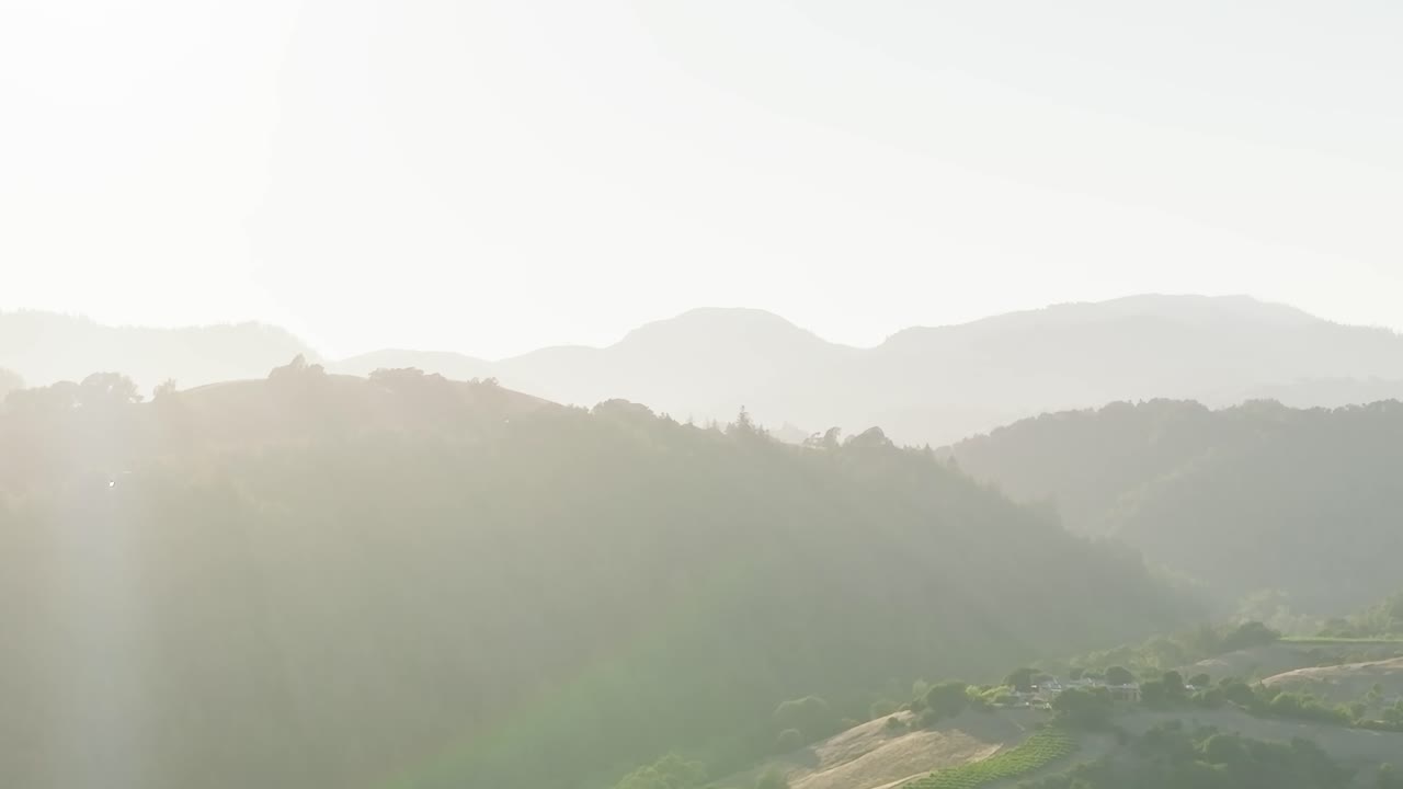 カリフォルニアのナパバレーにおける、晴れた日のブドウ畑の景色
