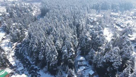 Manali-covered-in-snow-in-himachal-pradesh