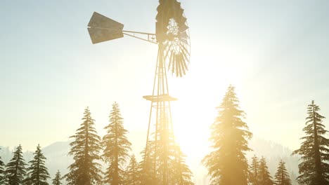 typical old windmill turbine in forest at sunset