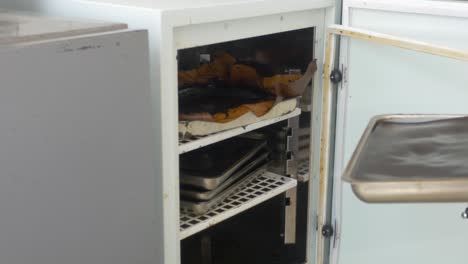 person loading a drying cabinet